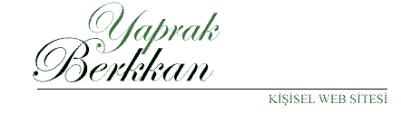 Ressam Yaprak Berkkan